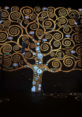 Photo 2 from Phoenix des Lumières