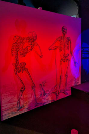 Foto 6 di Science Expériences: Museo della scienza immersiva a Parigi