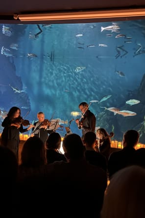 Photo 2 from Candlelight: The Best of Hans Zimmer