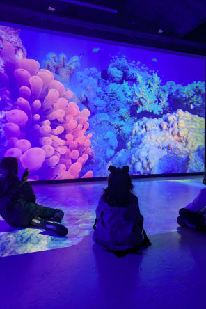 Photo 4 de Science Expériences : musée immersif de Science à Lyon