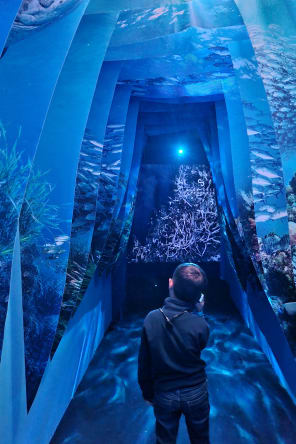 Foto 8 di Science Expériences: Museo della scienza immersiva a Parigi