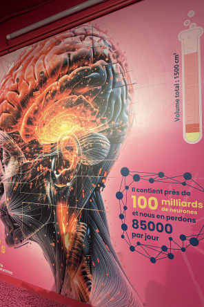 Foto 10 di Science Expériences: Museo della Scienza Immersiva a Lione