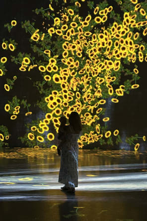 Photo 1 from Superblue Miami: Immersive Art Experiences