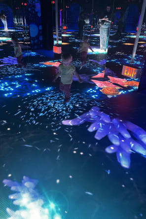 Photo 6 from Bubble Planet: An Immersive Experience in Bellevue