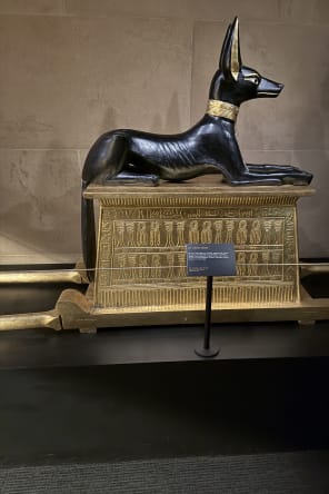 Photo 5 from Discovering King Tut's Tomb