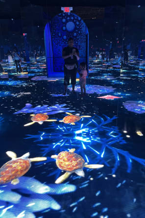 Photo 3 from Bubble Planet: An Immersive Experience in Washington DC