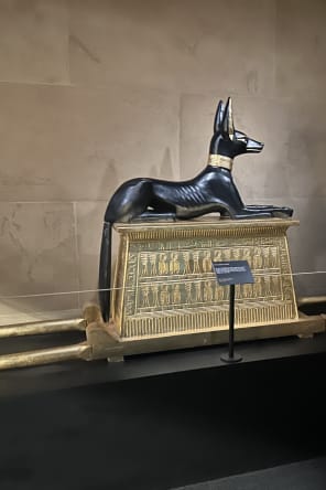 Photo 8 from Discovering King Tut's Tomb