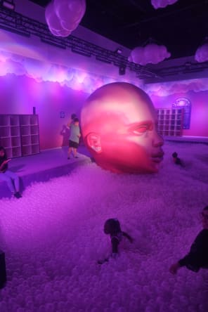 Photo 20 from Bubble Planet: An Immersive Experience in Washington DC