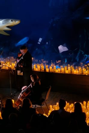 Photo 4 from Candlelight: The Best of Hans Zimmer