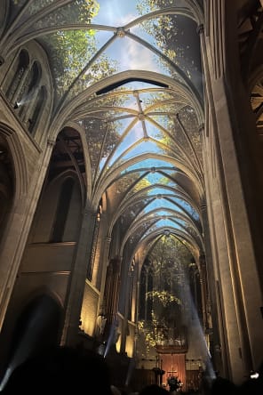 Photo 12 from AURA: An Immersive Odyssey of Breathtaking Proportions