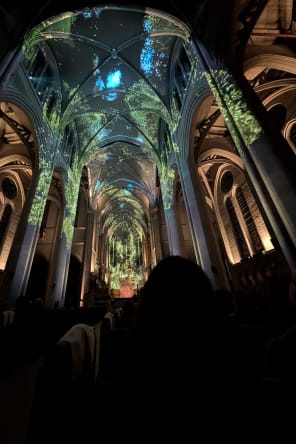 Photo 15 from AURA: An Immersive Odyssey of Breathtaking Proportions