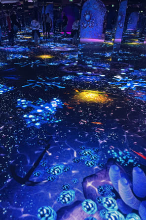 Photo 3 from Bubble Planet: l'expérience immersive à Montréal