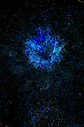 Foto 3 de Eonarium Genesis: Um espetáculo imersivo de luzes na Paróquia Imaculado Coração de Maria