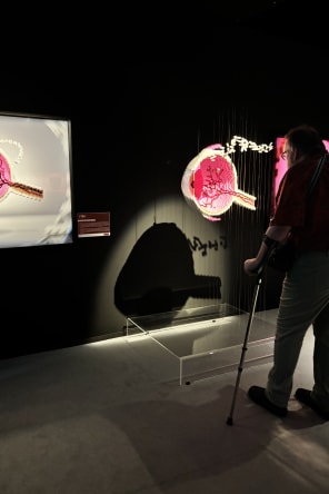 Photo 7 de The Art of the Brick : Exposition d'art en LEGO® à Nantes