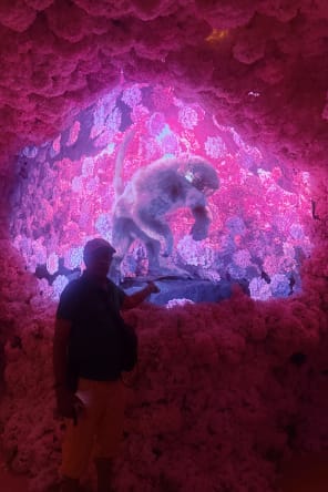 Photo 4 from Mercer Labs: Museum of Art and Technology