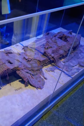 Photo 5 from Titanic. The Human Story - Auckland