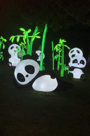 Foto 2 von Autumn Glow Festival - New Rochelle, NY