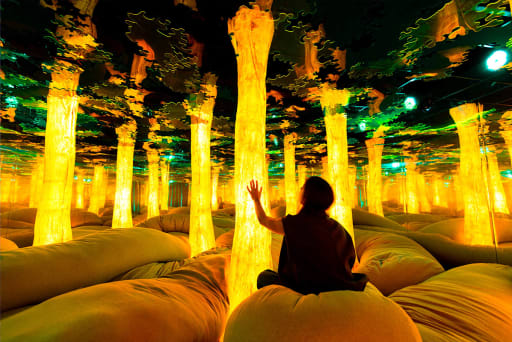 Euphoria Grove