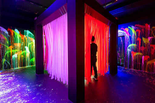 Colortopia