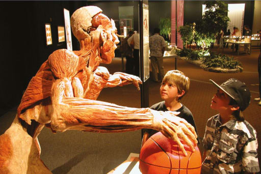 World's Most Successful Exhibition, Now in Sydney