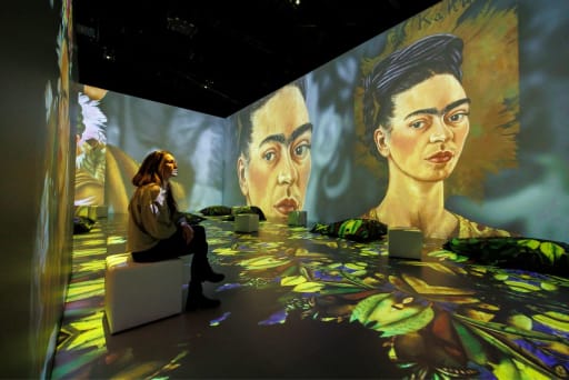Fridas Kunst in 360 Grad