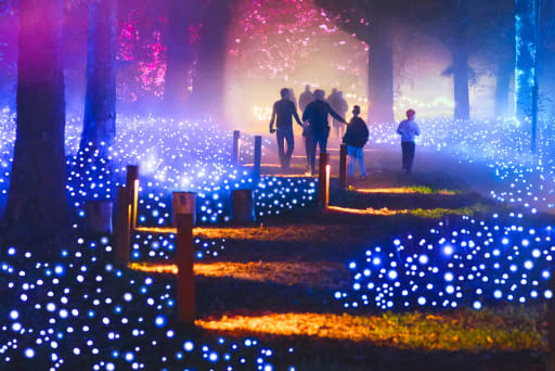 Sumérgete en la noche