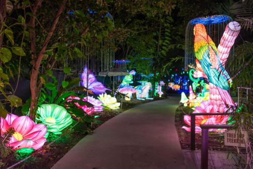Larger-than-life lanterns