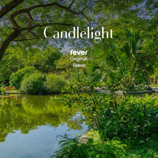 Candlelight Open Air Mozart’s Best Works Miami Fever