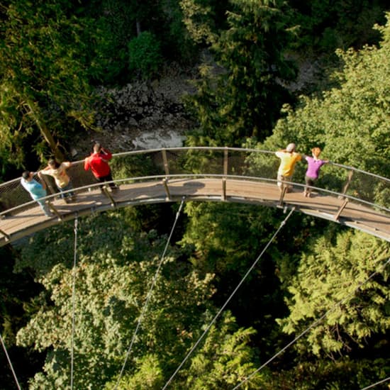 Capilano Suspension Bridge Park: Walk the treetops of the rainforest