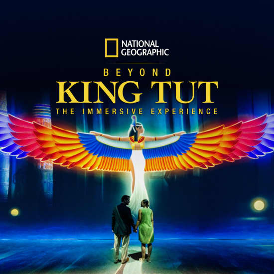 Beyond King Tut: The Immersive Experience - National Geographic