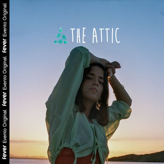The Attic: Mavica en concierto al aire libre