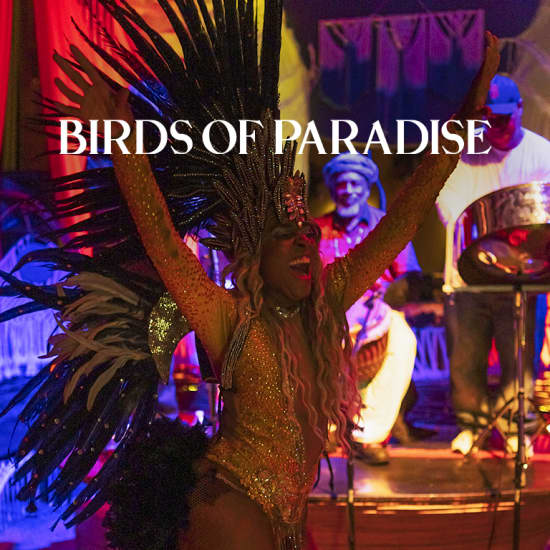 Birds of Paradise: A Tropical Night of Music, Dance & Cocktails
