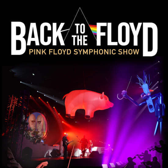 Back to the Floyd, une aventure symphonique au Cepac Silo