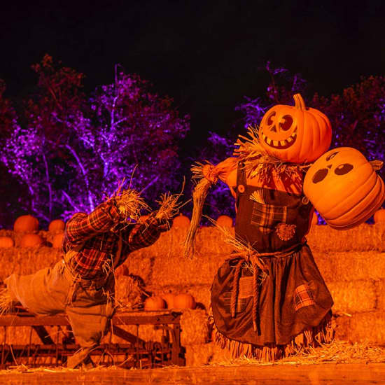 Haunt O' Ween LA: An Immersive Halloween Experience