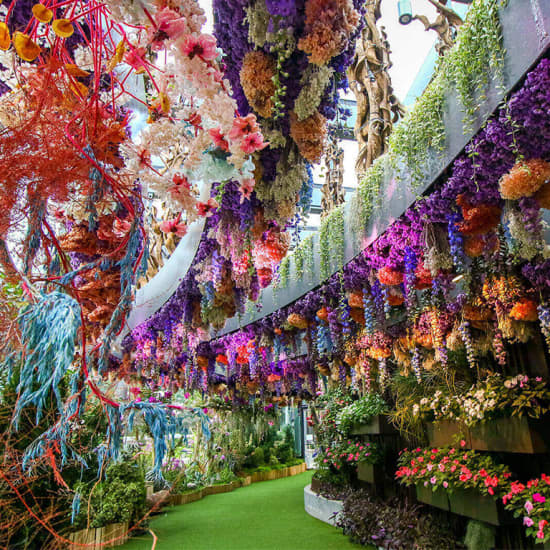 Gardens by the Bay - Floral Fantasy