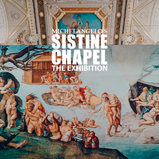 La Chapelle Sixtine de Michel-Ange : L'Exposition