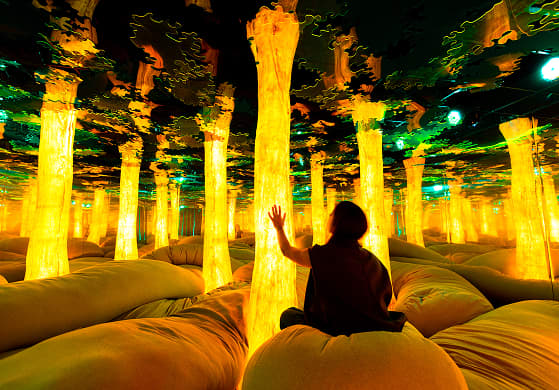Things to Do: Events, Experiences and Much More - Barcelona