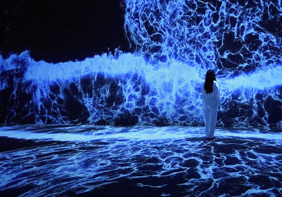 Things to Do: Events, Experiences, and Much More - New York