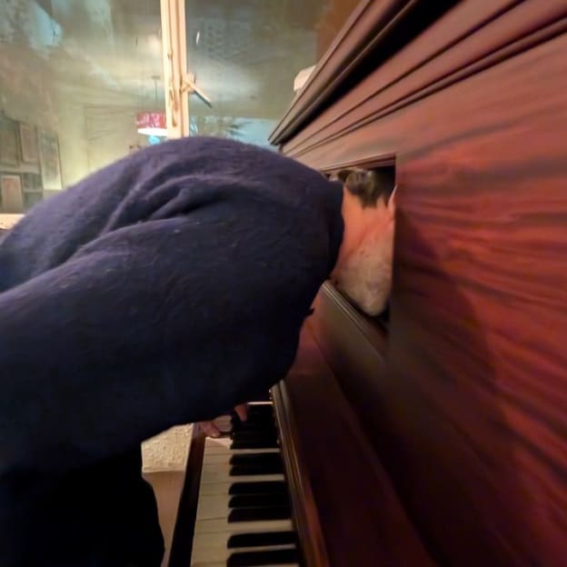 Patrick Watson