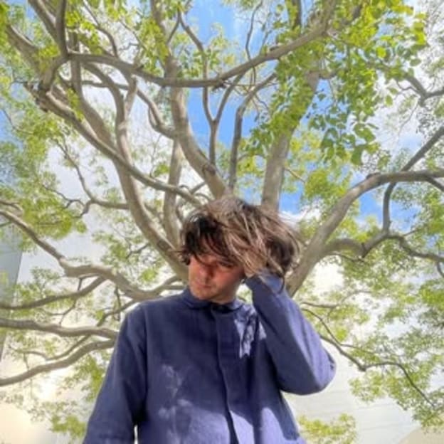 Dirty Projectors