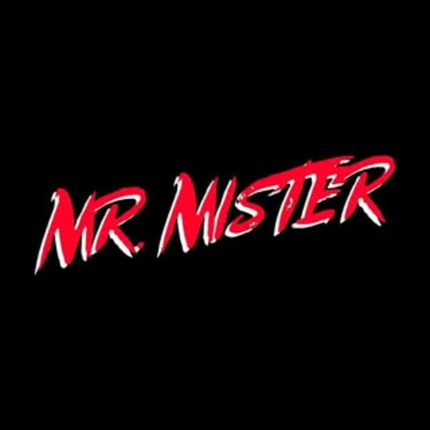 Mr. Mister