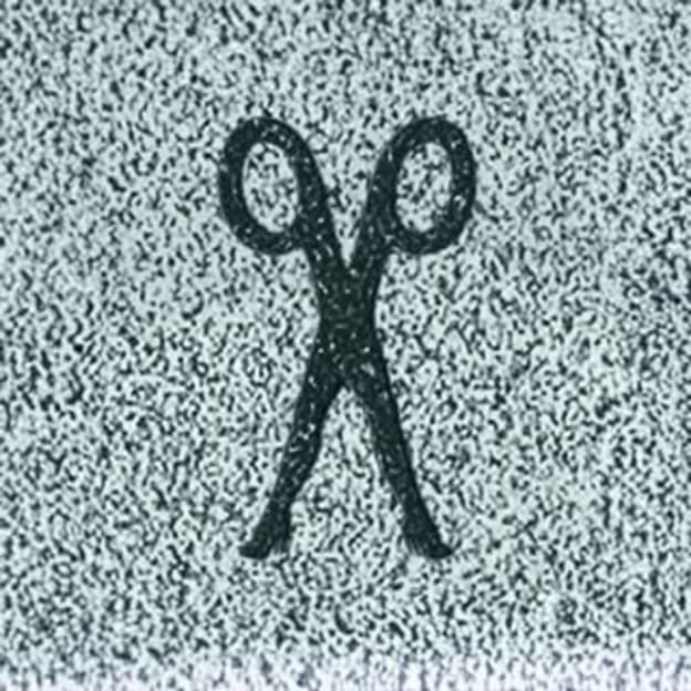 Scissor Sisters
