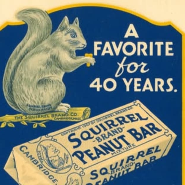 Squirrel Nut Zippers