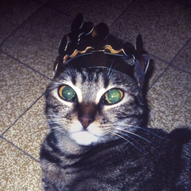 Two Door Cinema Club