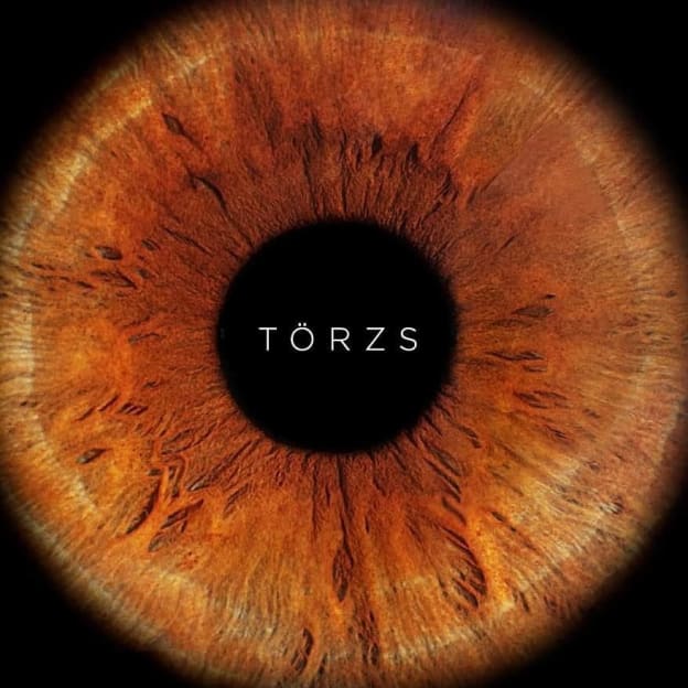 Törzs