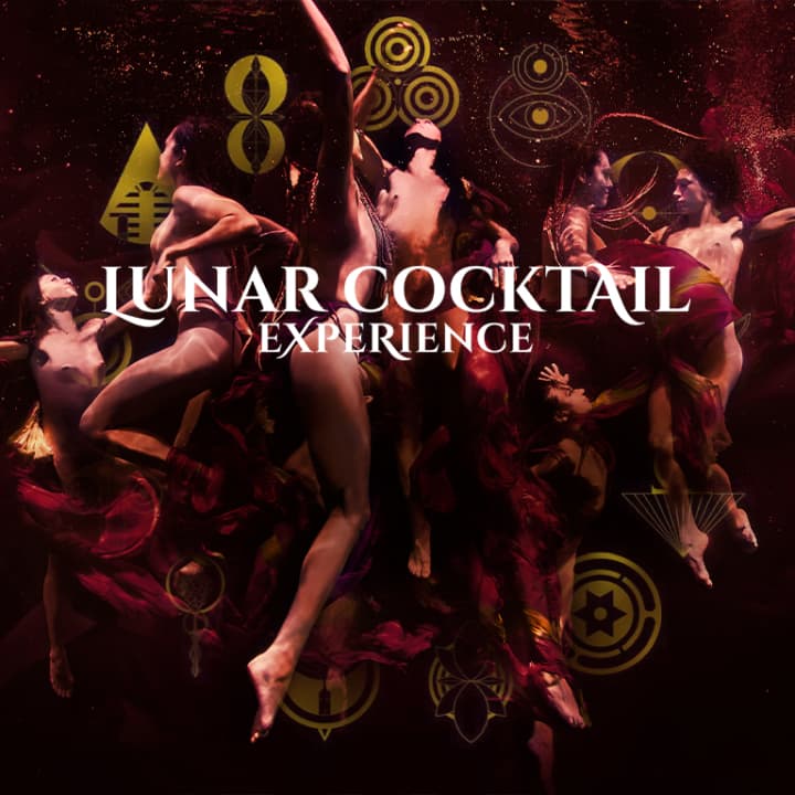 Lunar Cocktail Experience