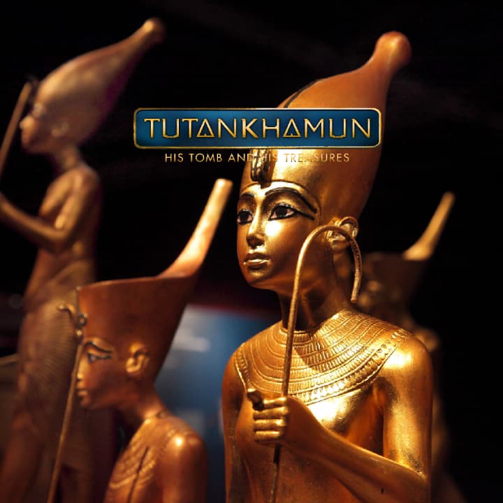 Tutankhamun: His Tomb and His Treasures - L'Exposition