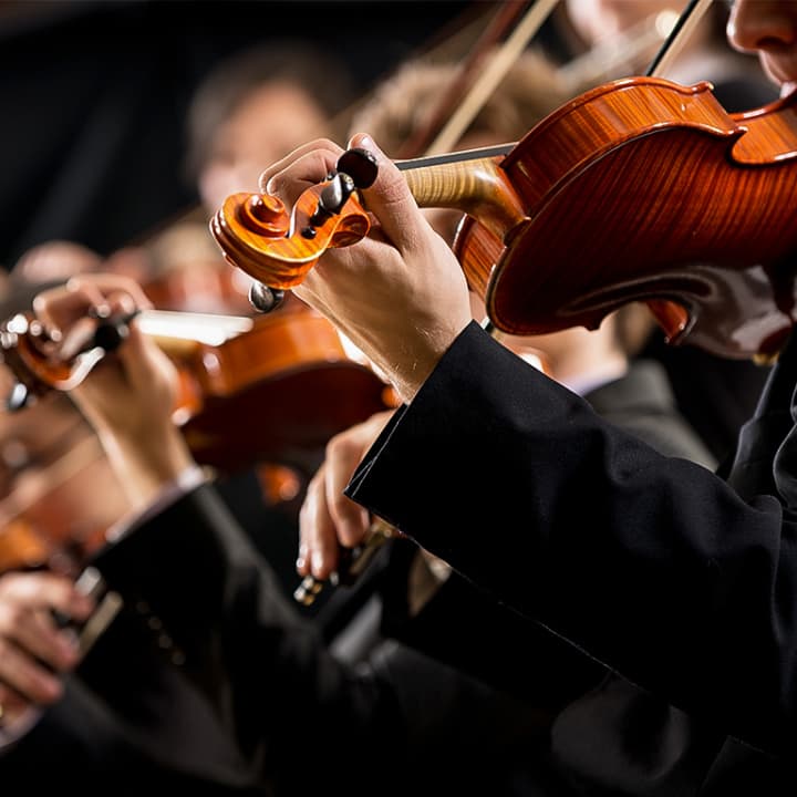 Musique et Patrimoine : Quatre saisons de Vivaldi