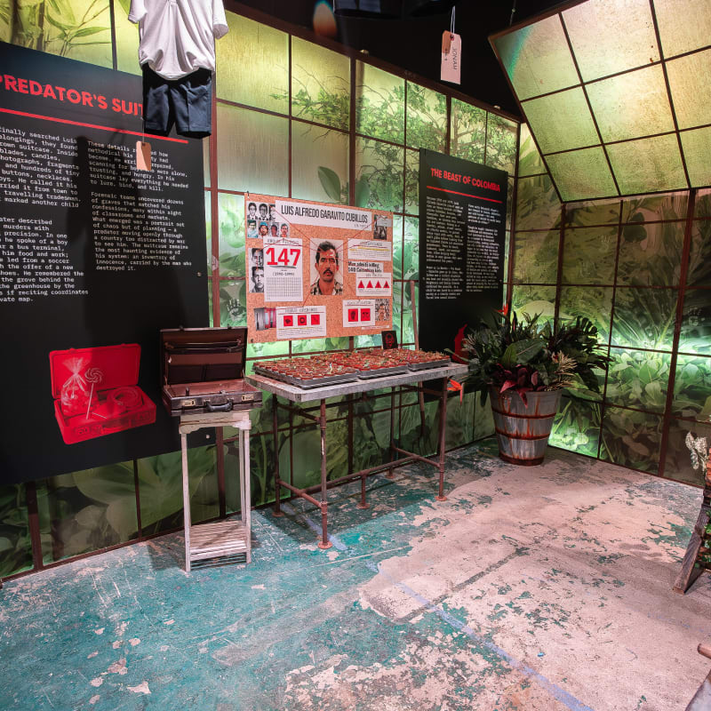 Beyond the headlines: cannibals & dominators