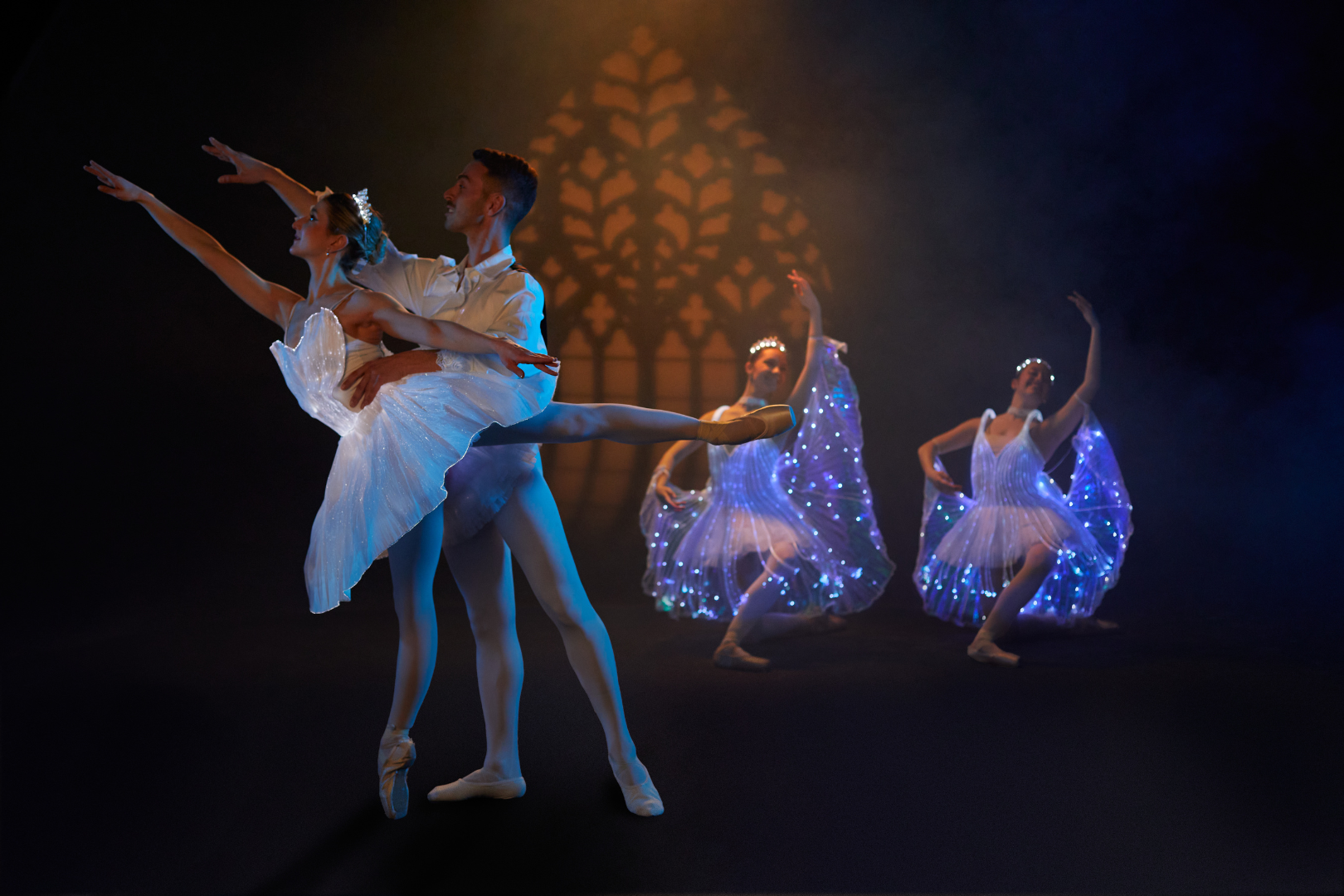Ballet lumineux de la Belle au Bois dormant